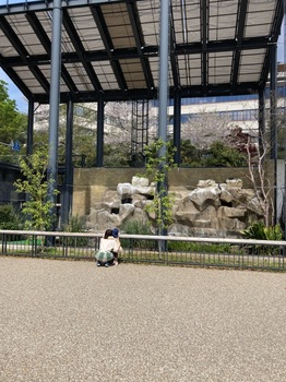 2024.4.13上野動物園.jpg